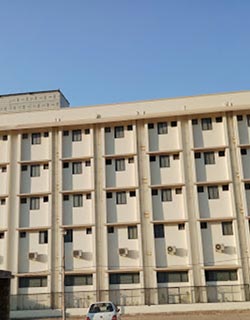 Shernath Bapu of Triloknath Ashram